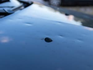 Paintless Dent Repair | Paintless Dent Removal | Car Hood Hail Damage
